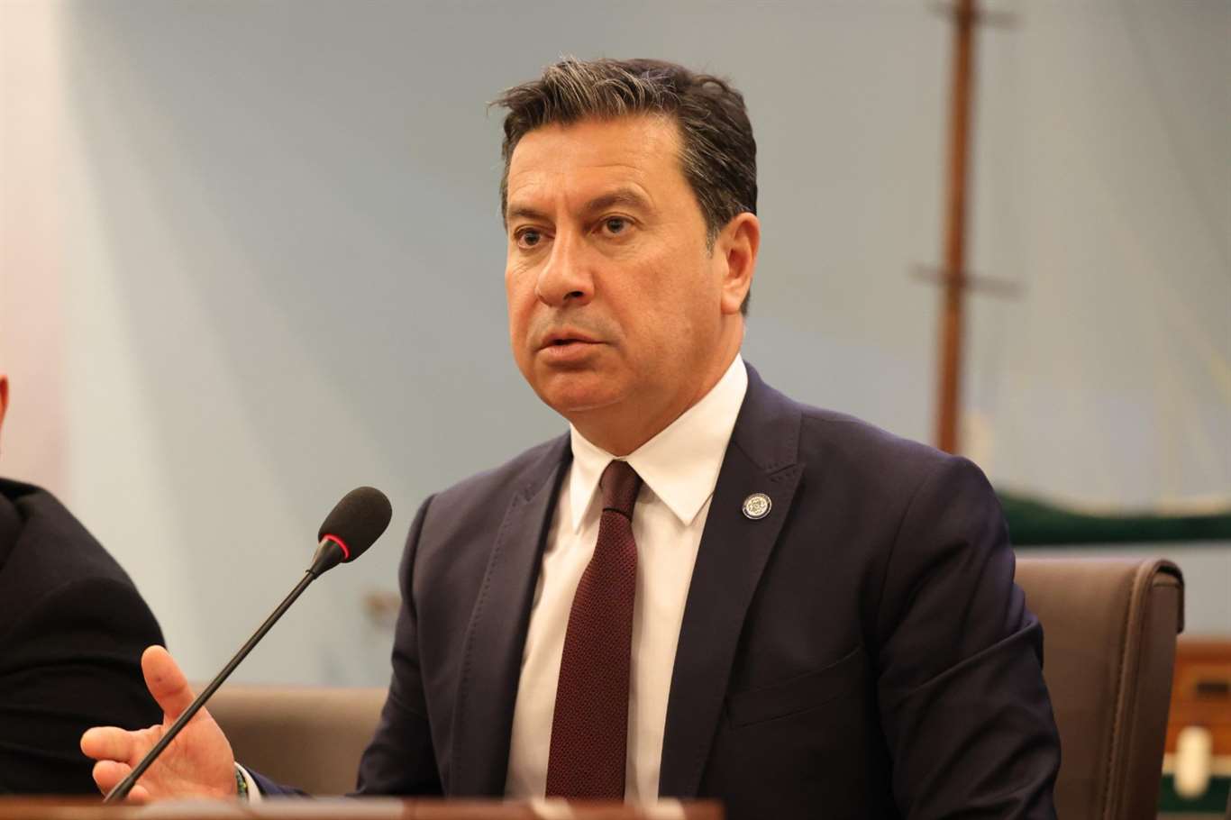 Başkan Aras: 